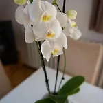 Hotel Barcza Vendeghaz Balatonfured