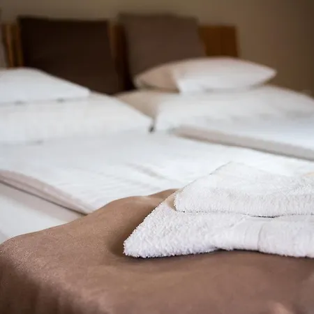 Barcza Vendeghaz מלון