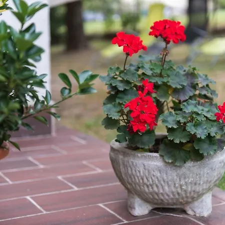 Hotel Barcza Vendeghaz