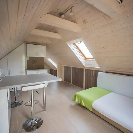 Barcza Vendeghaz מלון