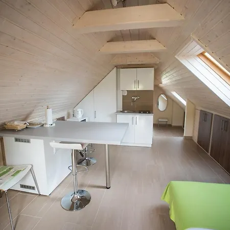 Barcza Vendeghaz מלון 3*