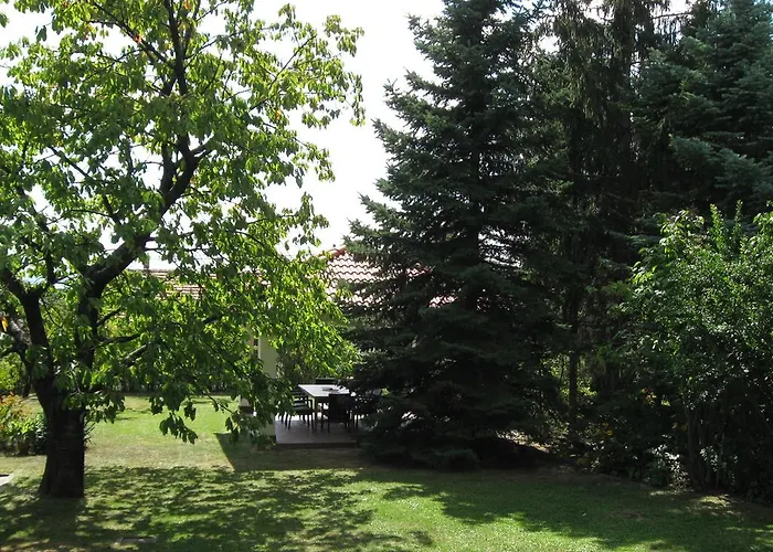 Barcza Vendeghaz Balatonfüred