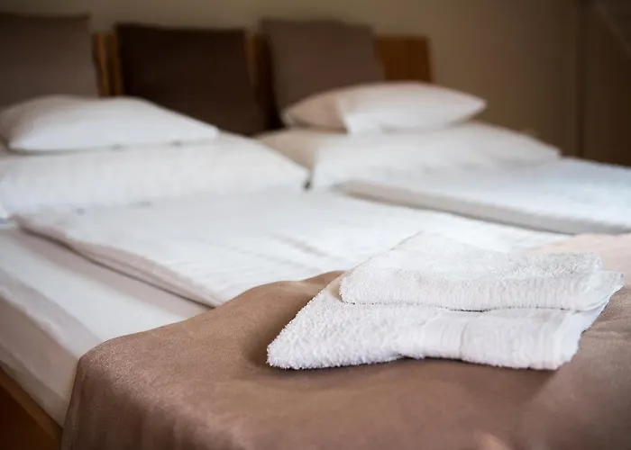 Barcza Vendeghaz Hotel