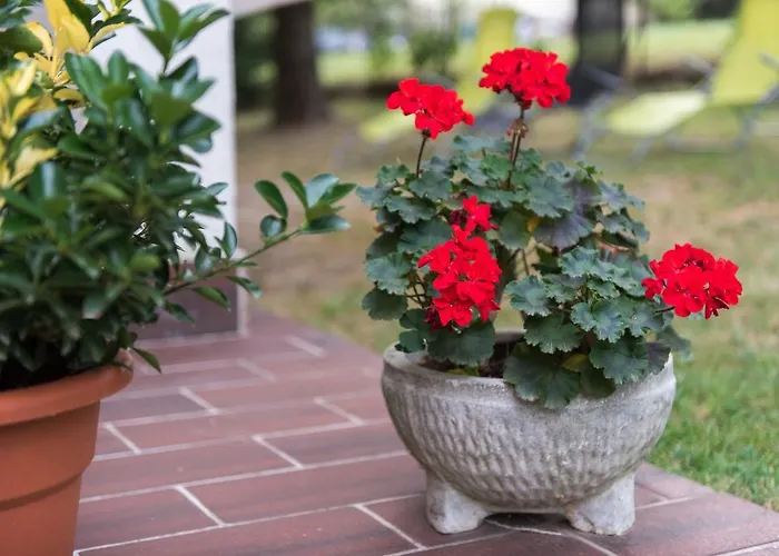 Hotel Barcza Vendeghaz