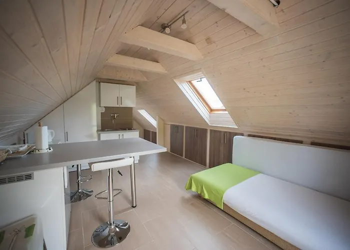 Barcza Vendeghaz Hotel